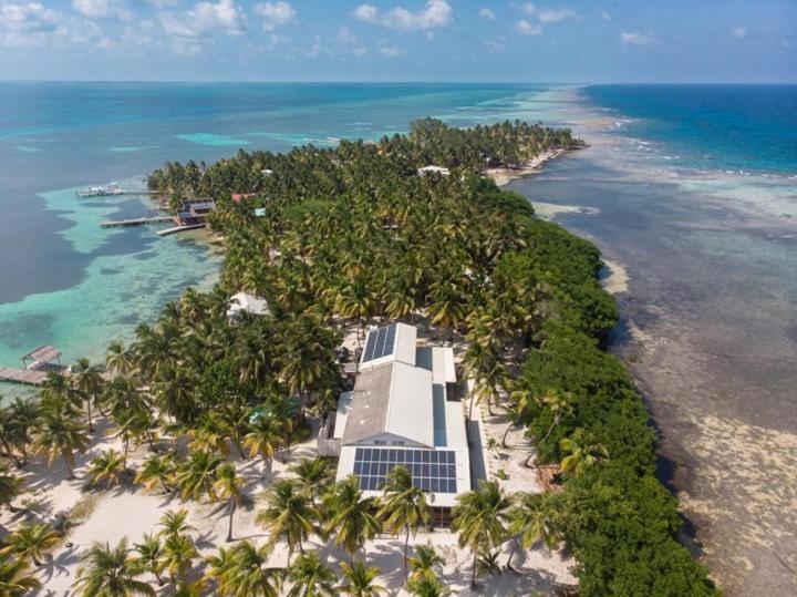 Pelican Beach Resort South Water Caye Dangriga Exteriör bild