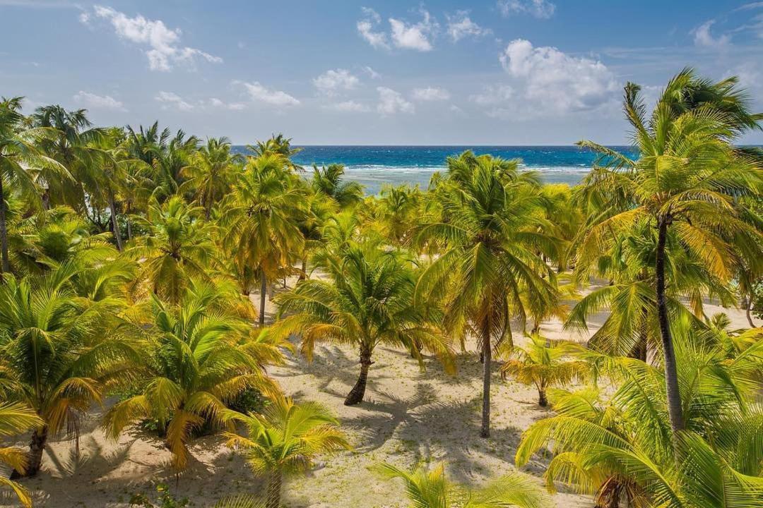 Pelican Beach Resort South Water Caye Dangriga Exteriör bild
